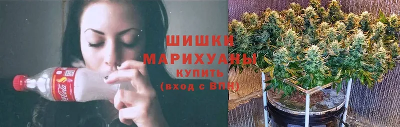 где продают   Куса  Канабис SATIVA & INDICA 